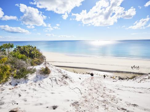 A Découvrir en Australie - Fraser Island