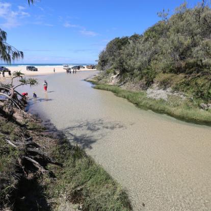 A Découvrir en Australie - Fraser Island