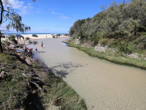 A Découvrir en Australie - Fraser Island