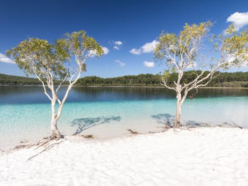 A Découvrir en Australie - Fraser Island