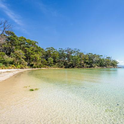 A Découvrir en Australie - Bruny Island