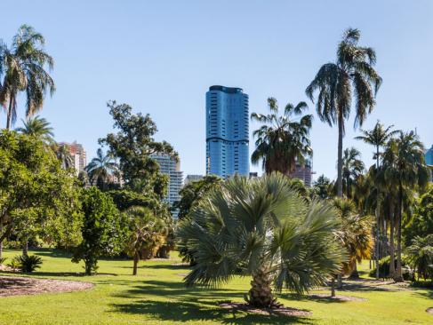 A Découvrir en Australie - Brisbane
