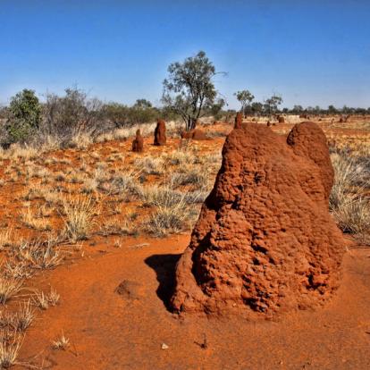 Parc National Litchfield A Découvrir en Australie - Parc National Litchfield