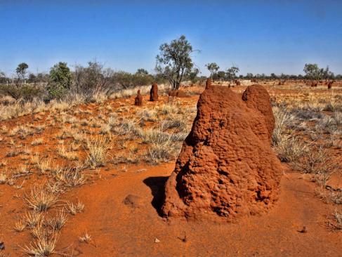 Parc National Litchfield A Découvrir en Australie - Parc National Litchfield