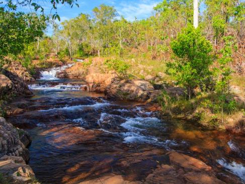Parc National Litchfield  - Buley Rockhole A Découvrir en Australie - Parc National Litchfield