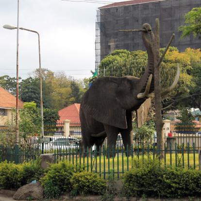 Arusha A Découvrir en Tanzanie - Arusha