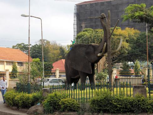 Arusha A Découvrir en Tanzanie - Arusha