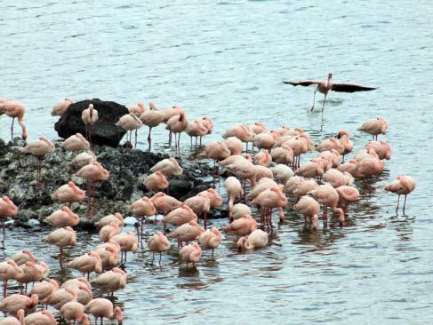 Parc National D'Arusha A Découvrir en Tanzanie - Arusha