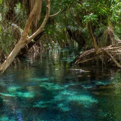 A Découvrir en Tanzanie - La Réserve de Selous