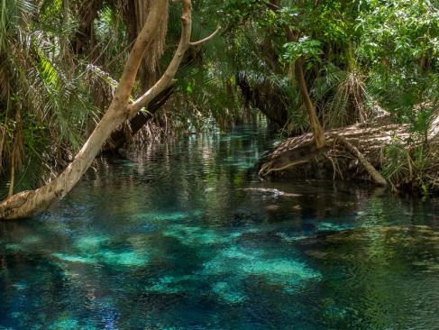 A Découvrir en Tanzanie - La Réserve de Selous