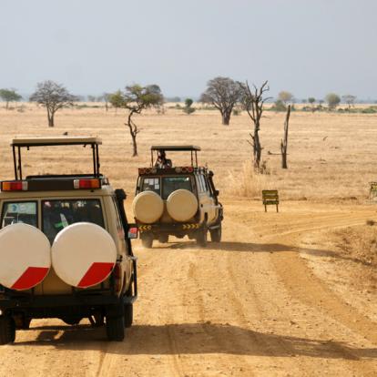 A Découvrir en Tanzanie - Le Parc National de Mikumi
