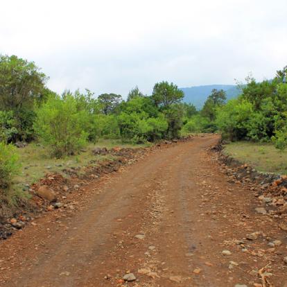 Réserve D'Arusha - Paysages Autour De Tululusia Hill A Découvrir en Tanzanie - La Réserve d'Arusha