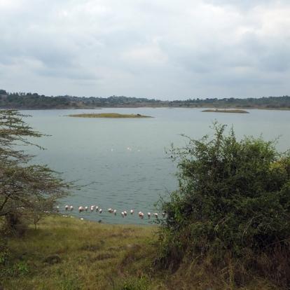 Réserve D'Arusha - Momella Lake A Découvrir en Tanzanie - La Réserve d'Arusha
