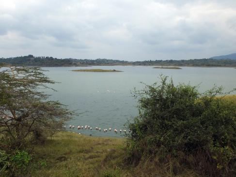 Réserve D'Arusha - Momella Lake A Découvrir en Tanzanie - La Réserve d'Arusha