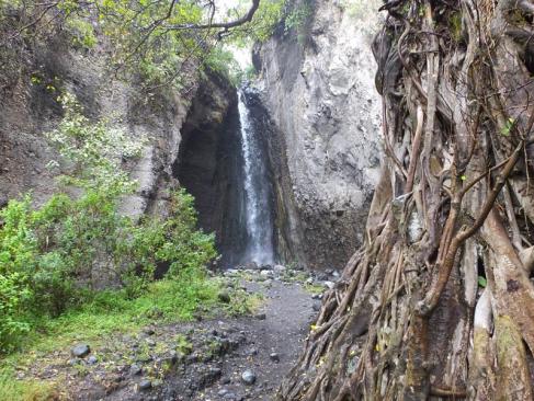 Réserve D'Arusha - Tululusia Waterfall A Découvrir en Tanzanie - La Réserve d'Arusha