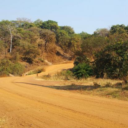 A Découvrir en Tanzanie - Le Parc National de Katavi