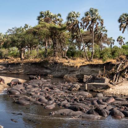 A Découvrir en Tanzanie - Le Parc National de Katavi