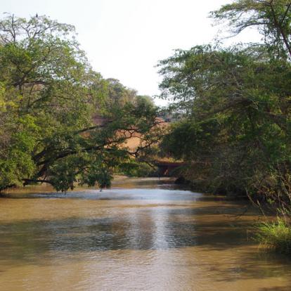 A Découvrir en Tanzanie - Le Parc National de Katavi