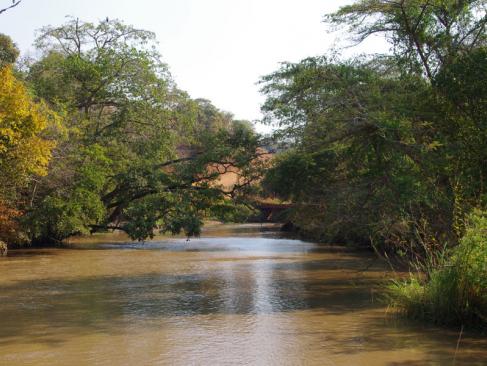 A Découvrir en Tanzanie - Le Parc National de Katavi