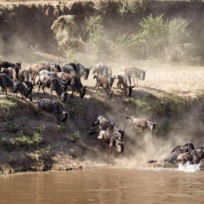 A Découvrir en Tanzanie - Le Parc National du Serengeti
