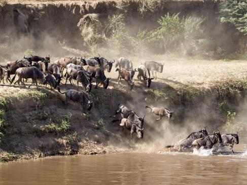 A Découvrir en Tanzanie - Le Parc National du Serengeti