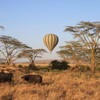 A Découvrir en Tanzanie - Le Parc National du Serengeti
