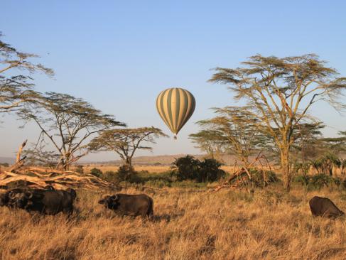 A Découvrir en Tanzanie - Le Parc National du Serengeti