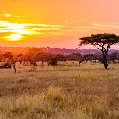 A Découvrir en Tanzanie - Le Parc National du Serengeti