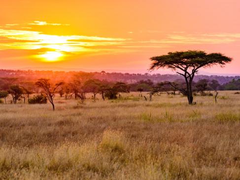 A Découvrir en Tanzanie - Le Parc National du Serengeti