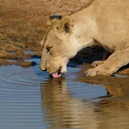 A Découvrir en Tanzanie - Le Parc National de Ruaha
