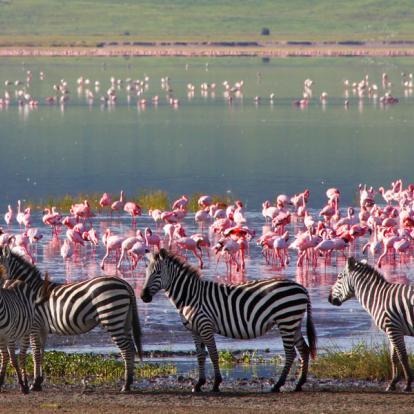 A Découvrir en Tanzanie - Le Cratère du Ngorongoro
