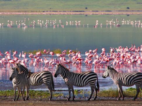 A Découvrir en Tanzanie - Le Cratère du Ngorongoro