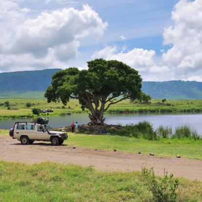 A Découvrir en Tanzanie - Le Cratère du Ngorongoro