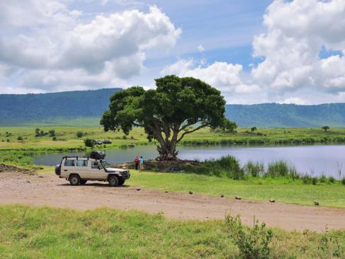 A Découvrir en Tanzanie - Le Cratère du Ngorongoro