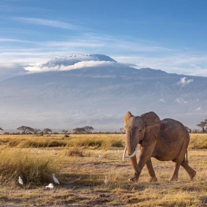 A Découvrir en Tanzanie : Le Mont Kilimandjaro