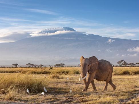 A Découvrir en Tanzanie : Le Mont Kilimandjaro
