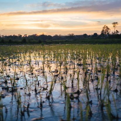 A Découvrir en Tanzanie - Le lac Victoria