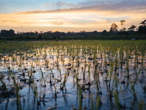 A Découvrir en Tanzanie - Le lac Victoria