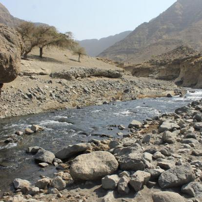 A Découvrir en Tanzanie - Le Lac Natron