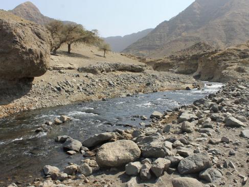 A Découvrir en Tanzanie - Le Lac Natron