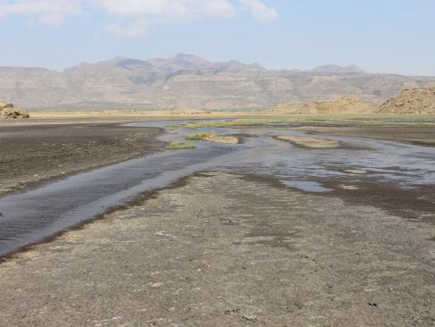 A Découvrir en Tanzanie - Le Lac Natron
