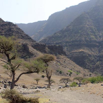 A Découvrir en Tanzanie - Le Lac Natron