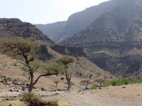 A Découvrir en Tanzanie - Le Lac Natron