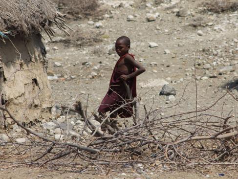 A Découvrir en Tanzanie - Le Lac Natron