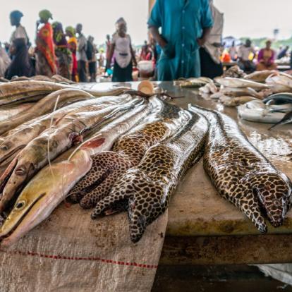 A Découvrir en Tanzanie - Dar es Salaam