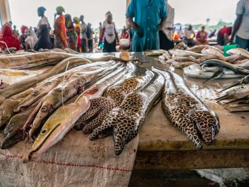 A Découvrir en Tanzanie - Dar es Salaam