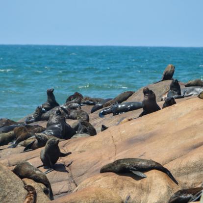 Cabo Polonio A Découvrir en Uruguay - Cabo Polonio