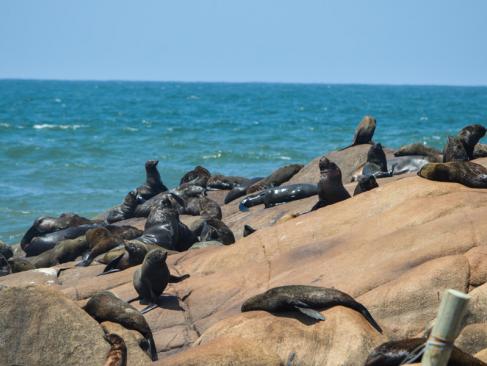 Cabo Polonio A Découvrir en Uruguay - Cabo Polonio