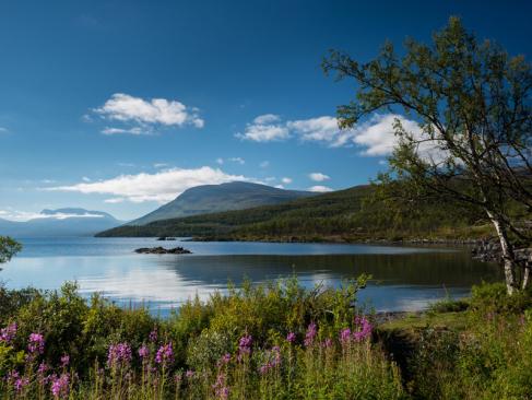 A Découvrir en Suède - Le Parc national d'Abisko