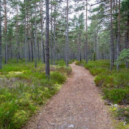 A Découvrir en Suède - L'île de Gotland